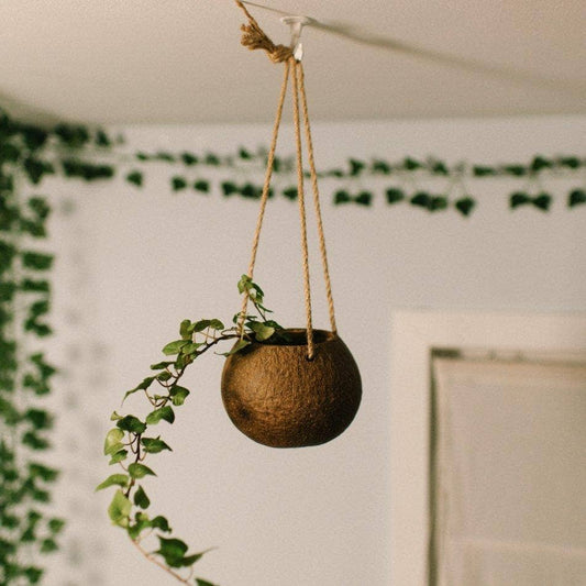 Hanging Coconut Planter Patio Decor