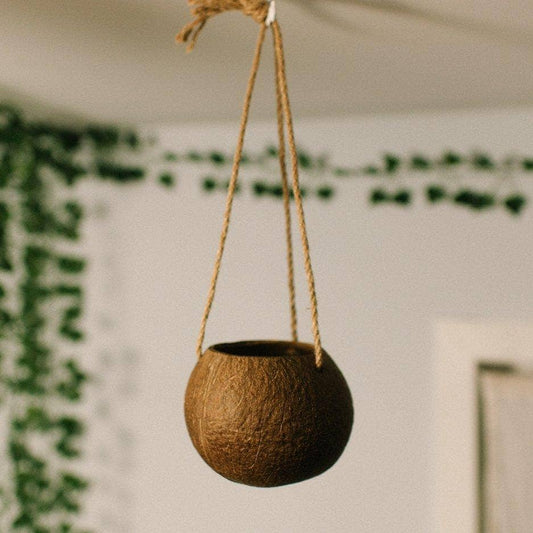 Hanging Coconut Planter Patio Decor